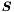 $\boldsymbol S$
