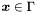 $\boldsymbol x \in \Gamma$