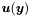 $\boldsymbol u(\boldsymbol y)$
