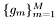 $\{g_m\}_{m=1}^M$