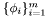 $\{\phi_i\}_{i=1}^m$